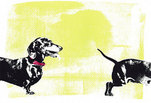 Load image into Gallery viewer, &#39;Chasing Your Tail&#39; Original Silkscreen Print
