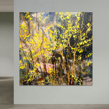 Load image into Gallery viewer, Garden awaits the spring. Forsythia Golden Bell (2024)
