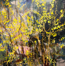 Load image into Gallery viewer, Garden awaits the spring. Forsythia Golden Bell (2024)
