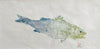 Anglesey Sea Bass Gyotaku Print by Jane Evans