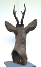 Load image into Gallery viewer, &#39;Roe Buck&#39; by David Cemmick
