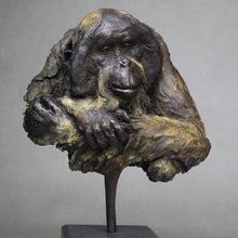 Load image into Gallery viewer, Orangutan Study
