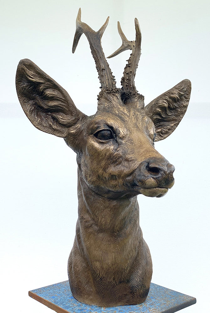 'Roe Buck' by David Cemmick