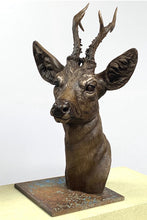 Load image into Gallery viewer, &#39;Roe Buck&#39; by David Cemmick
